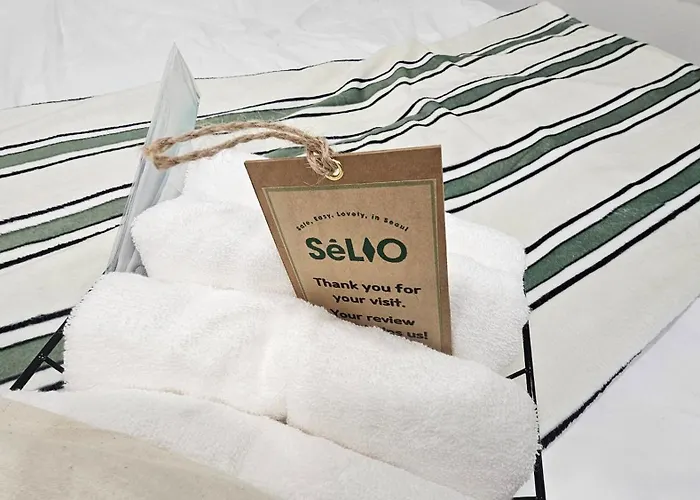 Selio #arex, Line 1, 4 Stn #line 2,5 Chungjeongno Stn 4min #airport Bus 5min Guest house 4*